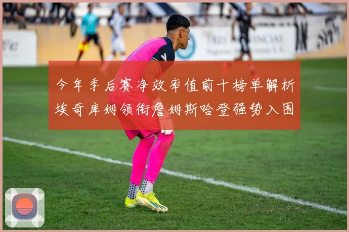 今年季后赛净效率值前十榜单解析埃奇库姆领衔詹姆斯哈登强势入围